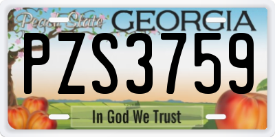 GA license plate PZS3759
