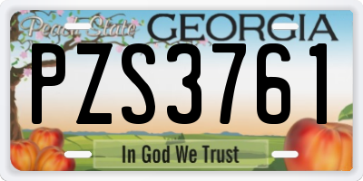 GA license plate PZS3761