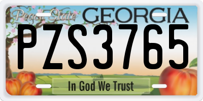 GA license plate PZS3765