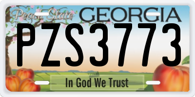 GA license plate PZS3773
