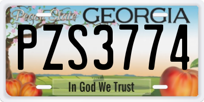 GA license plate PZS3774