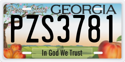 GA license plate PZS3781
