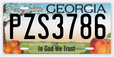 GA license plate PZS3786