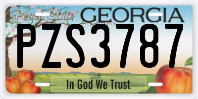 GA license plate PZS3787