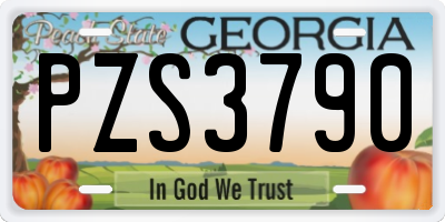 GA license plate PZS3790