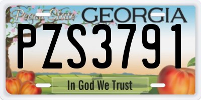 GA license plate PZS3791