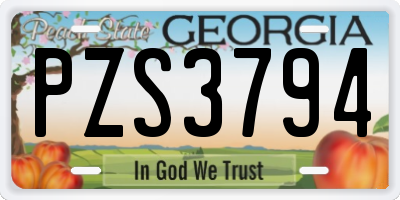 GA license plate PZS3794