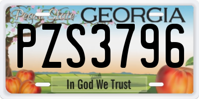 GA license plate PZS3796