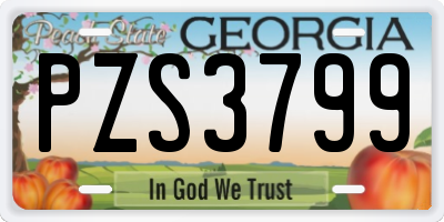 GA license plate PZS3799