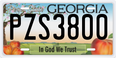 GA license plate PZS3800