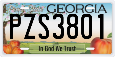 GA license plate PZS3801