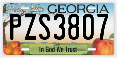 GA license plate PZS3807
