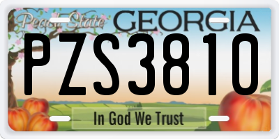 GA license plate PZS3810