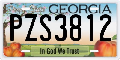 GA license plate PZS3812