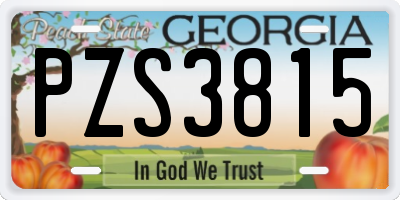GA license plate PZS3815