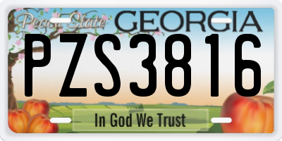 GA license plate PZS3816