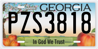 GA license plate PZS3818