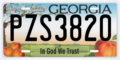 GA license plate PZS3820