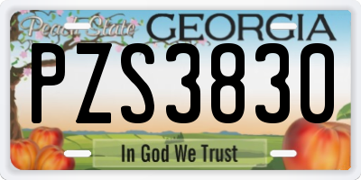 GA license plate PZS3830