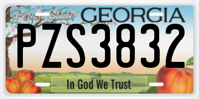 GA license plate PZS3832