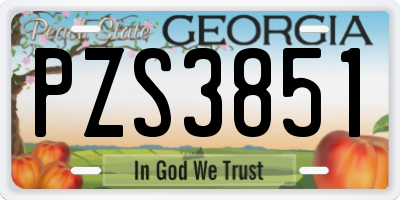 GA license plate PZS3851