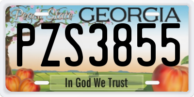 GA license plate PZS3855