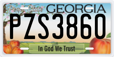 GA license plate PZS3860
