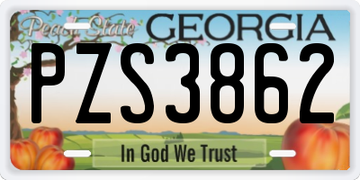 GA license plate PZS3862