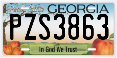 GA license plate PZS3863