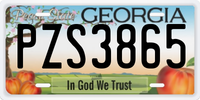 GA license plate PZS3865