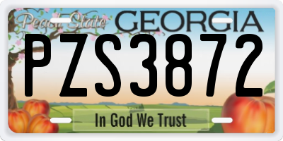 GA license plate PZS3872
