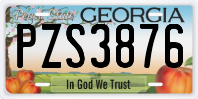 GA license plate PZS3876