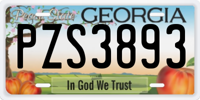GA license plate PZS3893