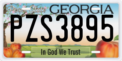 GA license plate PZS3895