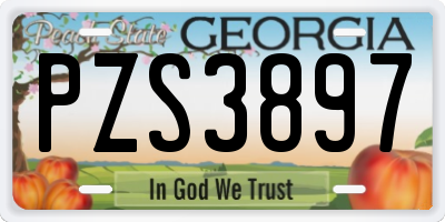 GA license plate PZS3897