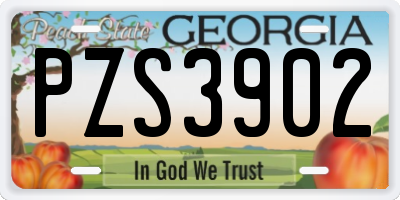 GA license plate PZS3902