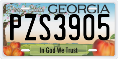 GA license plate PZS3905
