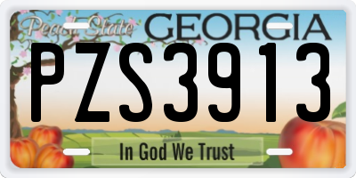GA license plate PZS3913