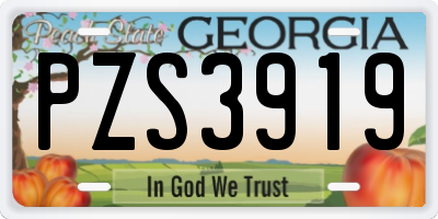 GA license plate PZS3919