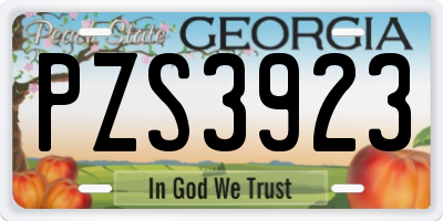 GA license plate PZS3923