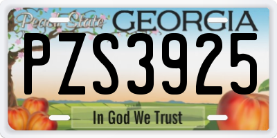 GA license plate PZS3925