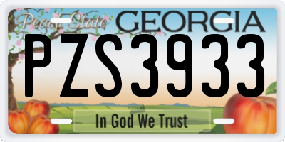 GA license plate PZS3933