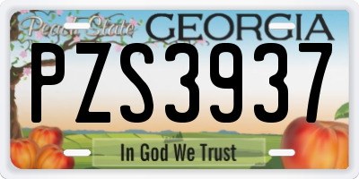 GA license plate PZS3937