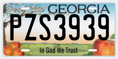 GA license plate PZS3939