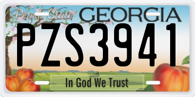 GA license plate PZS3941