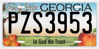 GA license plate PZS3953