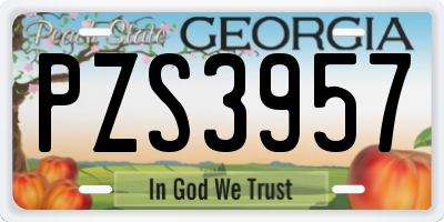 GA license plate PZS3957