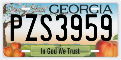 GA license plate PZS3959