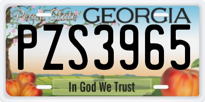 GA license plate PZS3965