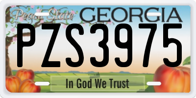 GA license plate PZS3975